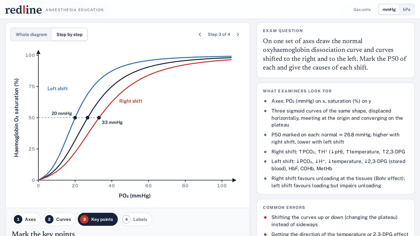 Redline on a tablet: the oxyhaemoglobin dissociation curve shifted right and left, built up step by step, with the exam question, what examiners look for and common errors